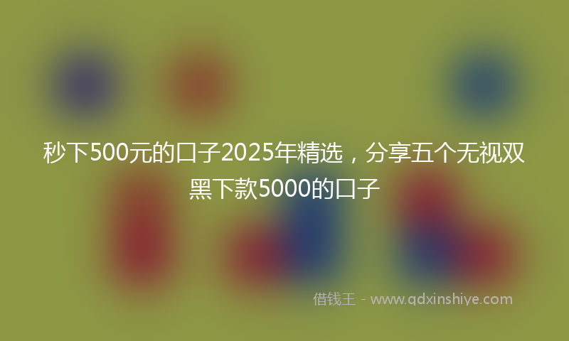 秒下500元的口子2025年精选，分享五个无视双黑下款5000的口子