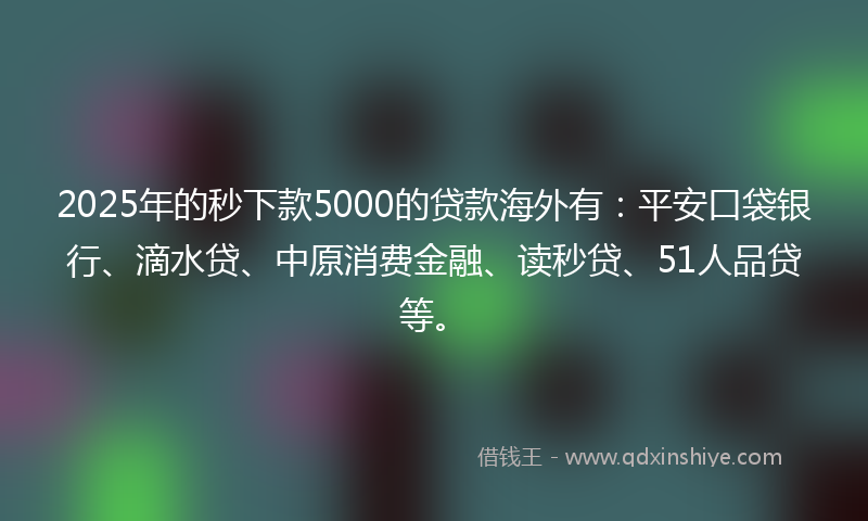 2025年的秒下款5000的贷款海外有：平安口袋银行、滴水贷、中原消费金融、读秒贷、51人品贷等。