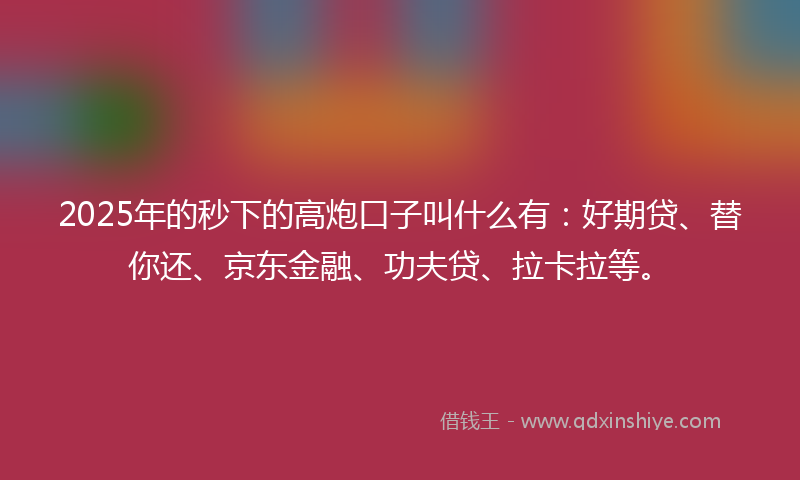 2025年的秒下的高炮口子叫什么有：好期贷、替你还、京东金融、功夫贷、拉卡拉等。