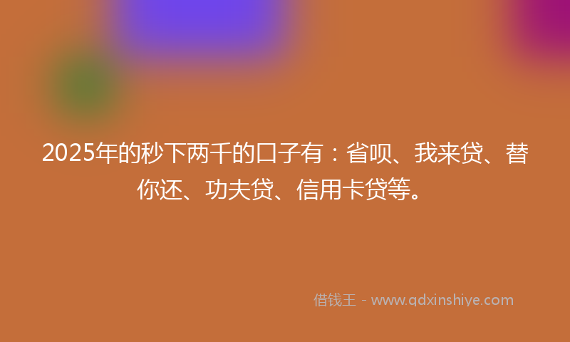 2025年的秒下两千的口子有：省呗、我来贷、替你还、功夫贷、信用卡贷等。
