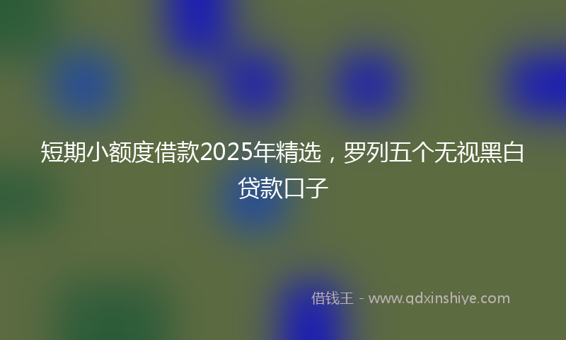 短期小额度借款2025年精选，罗列五个无视黑白贷款口子