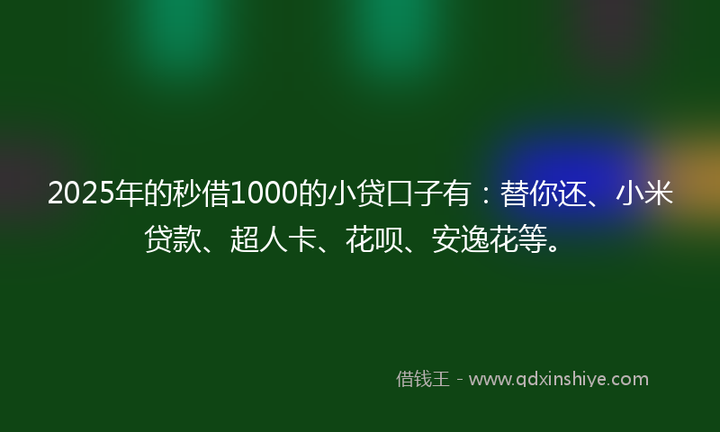 2025年的秒借1000的小贷口子有：替你还、小米贷款、超人卡、花呗、安逸花等。