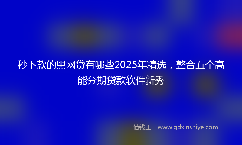 秒下款的黑网贷有哪些2025年精选，整合五个高能分期贷款软件新秀