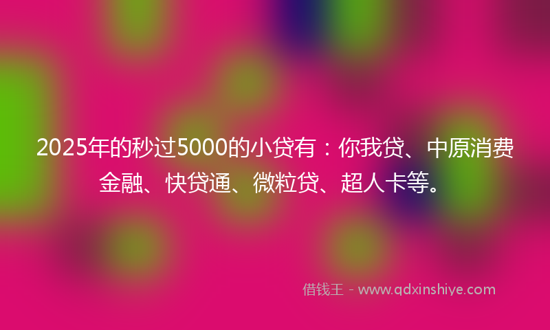 2025年的秒过5000的小贷有：你我贷、中原消费金融、快贷通、微粒贷、超人卡等。