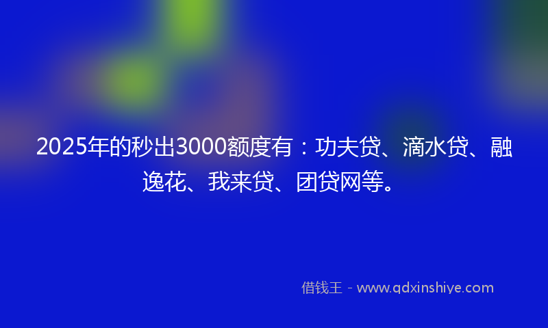 2025年的秒出3000额度有：功夫贷、滴水贷、融逸花、我来贷、团贷网等。