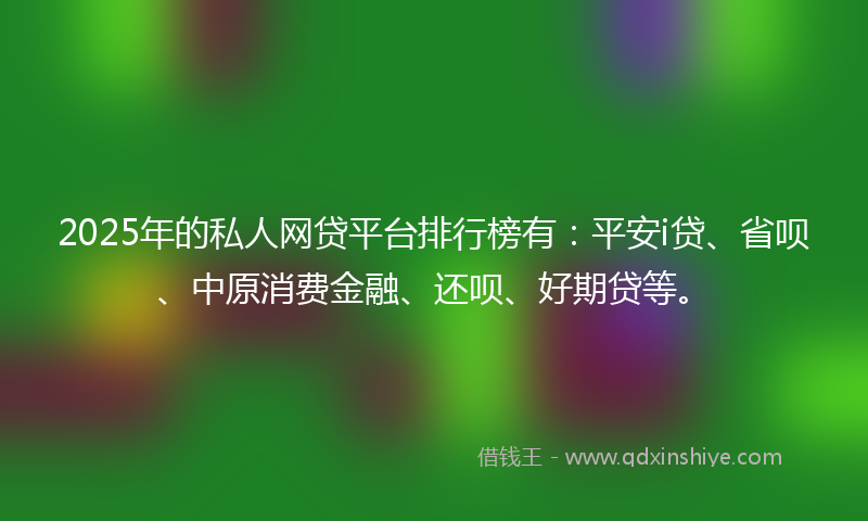 2025年的私人网贷平台排行榜有：平安i贷、省呗、中原消费金融、还呗、好期贷等。