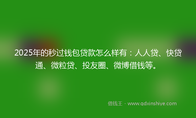 2025年的秒过钱包贷款怎么样有：人人贷、快贷通、微粒贷、投友圈、微博借钱等。