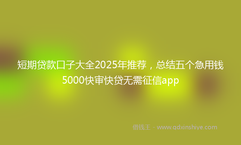短期贷款口子大全2025年推荐，总结五个急用钱5000快审快贷无需征信app