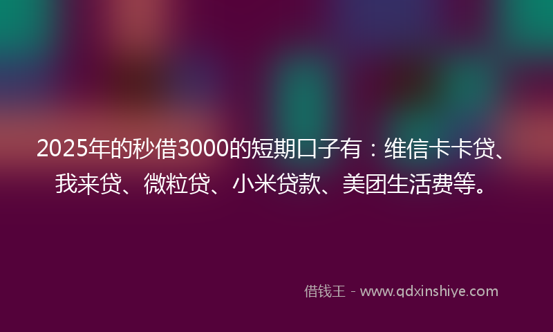 2025年的秒借3000的短期口子有：维信卡卡贷、我来贷、微粒贷、小米贷款、美团生活费等。