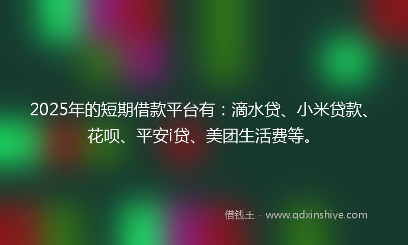 2025年的短期借款平台有：滴水贷、小米贷款、花呗、平安i贷、美团生活费等。