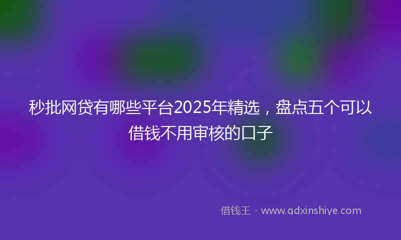 秒批网贷有哪些平台2025年精选，盘点五个可以借钱不用审核的口子