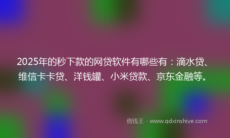 2025年的秒下款的网贷软件有哪些有：滴水贷、维信卡卡贷、洋钱罐、小米贷款、京东金融等。