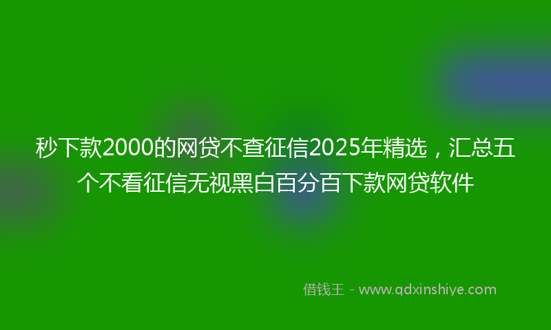 秒下款2000的网贷不查征信2025年精选，汇总五个不看征信无视黑白百分百下款网贷软件