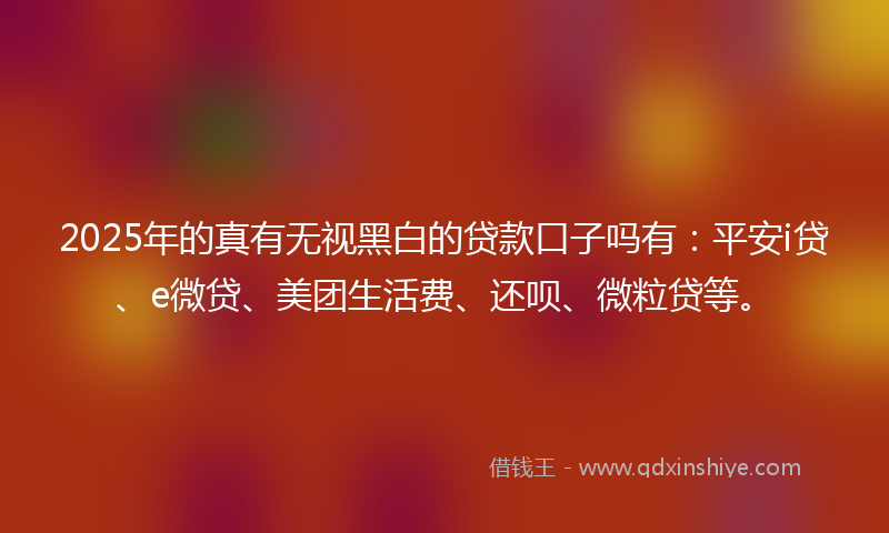 2025年的真有无视黑白的贷款口子吗有：平安i贷、e微贷、美团生活费、还呗、微粒贷等。