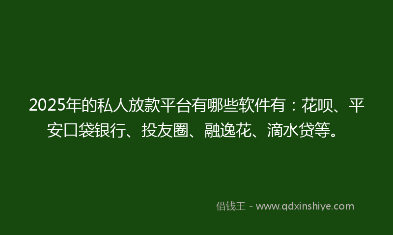 2025年的私人放款平台有哪些软件有：花呗、平安口袋银行、投友圈、融逸花、滴水贷等。