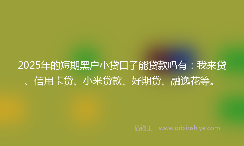 2025年的短期黑户小贷口子能贷款吗有：我来贷、信用卡贷、小米贷款、好期贷、融逸花等。
