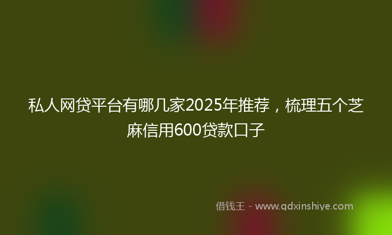 私人网贷平台有哪几家2025年推荐，梳理五个芝麻信用600贷款口子
