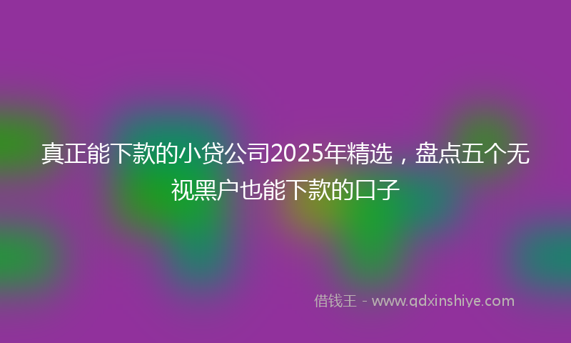 真正能下款的小贷公司2025年精选，盘点五个无视黑户也能下款的口子