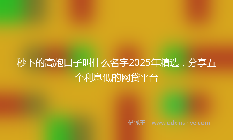 秒下的高炮口子叫什么名字2025年精选，分享五个利息低的网贷平台
