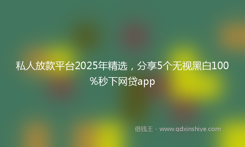 私人放款平台2025年精选，分享5个无视黑白100%秒下网贷app