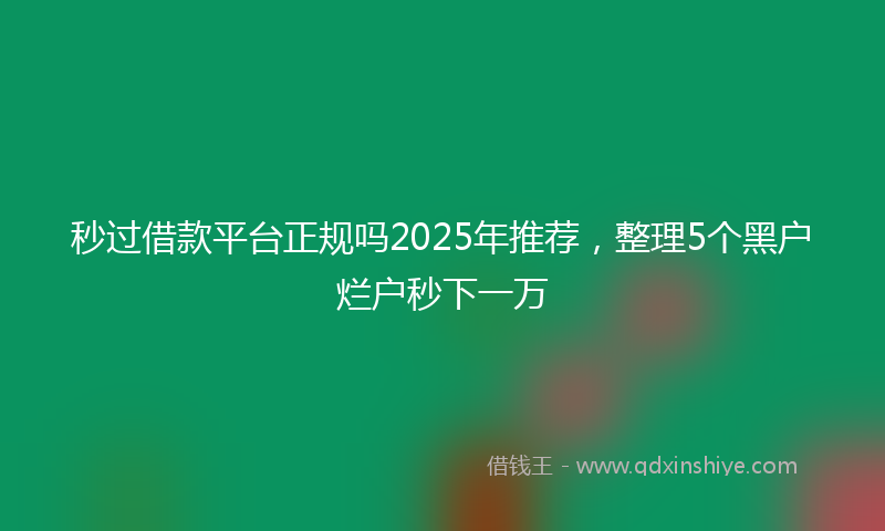秒过借款平台正规吗2025年推荐，整理5个黑户烂户秒下一万
