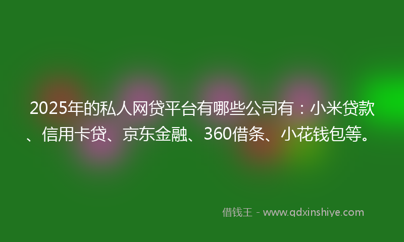 2025年的私人网贷平台有哪些公司有：小米贷款、信用卡贷、京东金融、360借条、小花钱包等。
