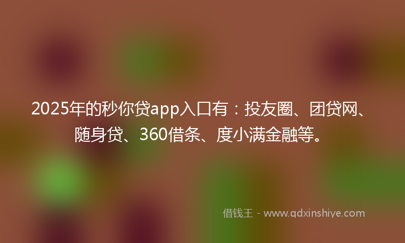 2025年的秒你贷app入口有：投友圈、团贷网、随身贷、360借条、度小满金融等。