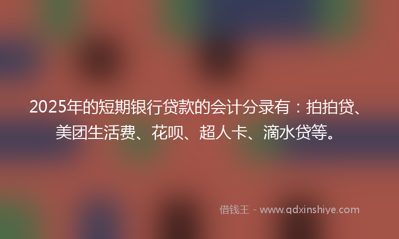 2025年的短期银行贷款的会计分录有：拍拍贷、美团生活费、花呗、超人卡、滴水贷等。