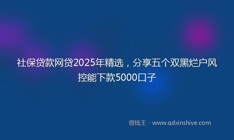 社保贷款网贷2025年精选，分享五个双黑烂户风控能下款5000口子