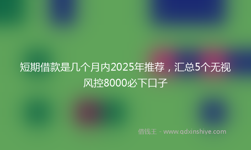 短期借款是几个月内2025年推荐，汇总5个无视风控8000必下口子