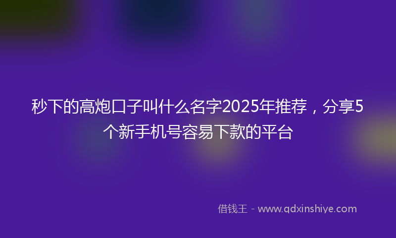 秒下的高炮口子叫什么名字2025年推荐，分享5个新手机号容易下款的平台