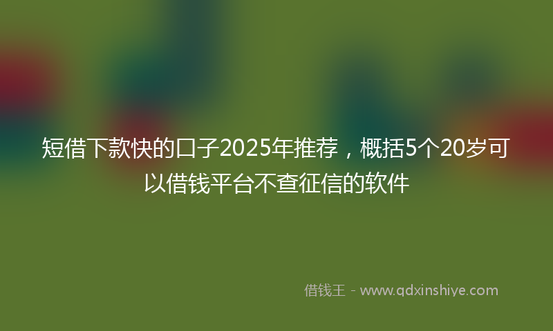 短借下款快的口子2025年推荐，概括5个20岁可以借钱平台不查征信的软件