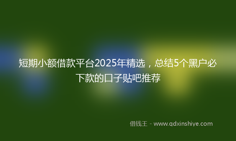 短期小额借款平台2025年精选,总结5个黑户必下款的口子贴吧推荐