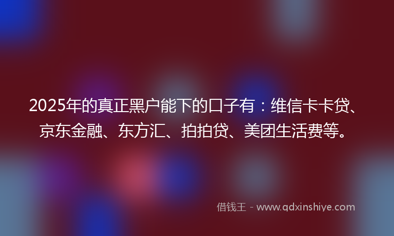 2025年的真正黑户能下的口子有：维信卡卡贷、京东金融、东方汇、拍拍贷、美团生活费等。