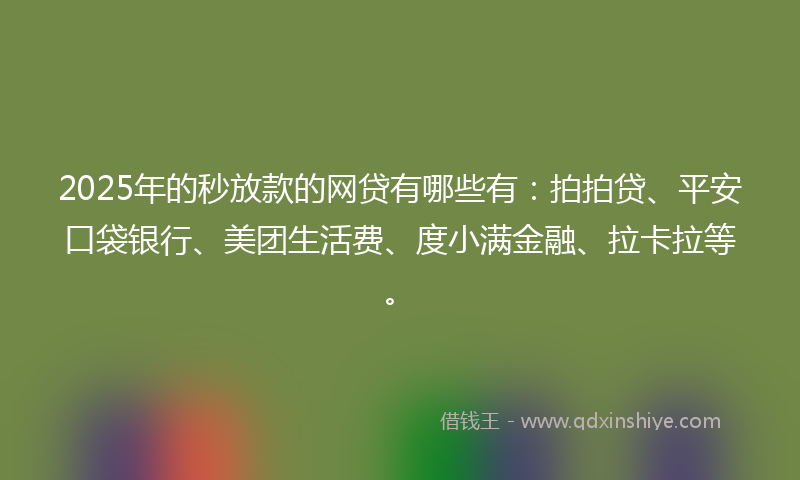 2025年的秒放款的网贷有哪些有：拍拍贷、平安口袋银行、美团生活费、度小满金融、拉卡拉等。