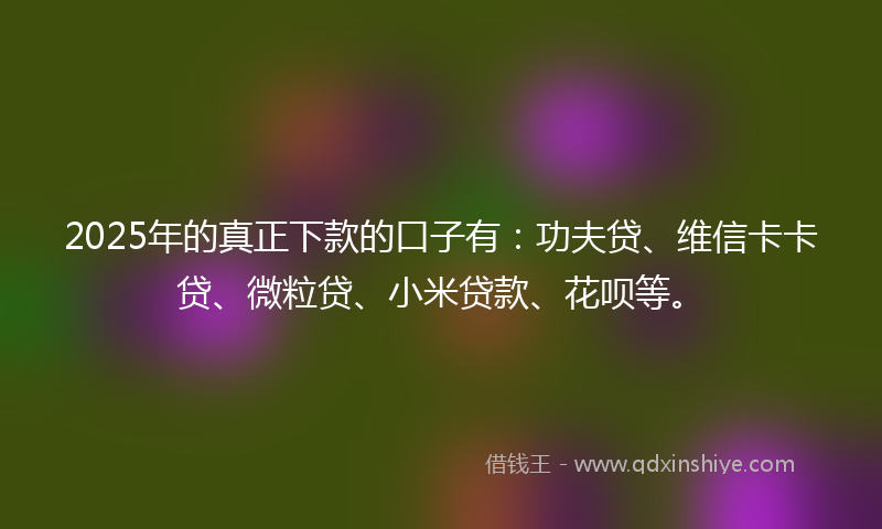 2025年的真正下款的口子有：功夫贷、维信卡卡贷、微粒贷、小米贷款、花呗等。