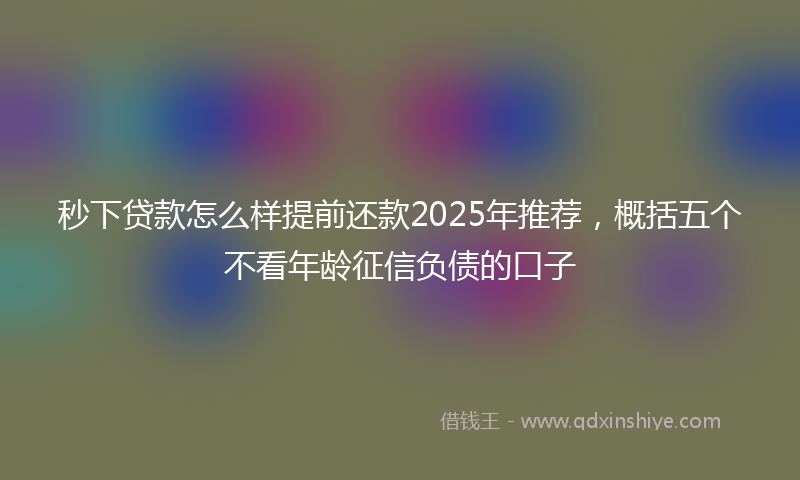 秒下贷款怎么样提前还款2025年推荐，概括五个不看年龄征信负债的口子