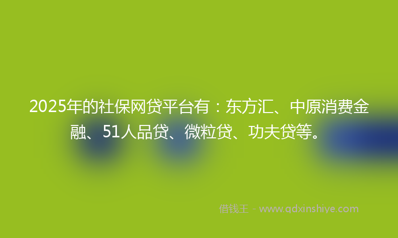 2025年的社保网贷平台有：东方汇、中原消费金融、51人品贷、微粒贷、功夫贷等。