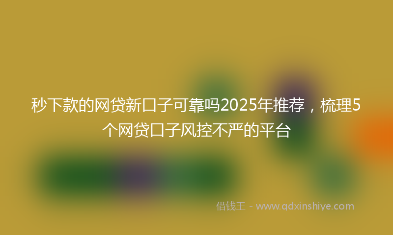 秒下款的网贷新口子可靠吗2025年推荐，梳理5个网贷口子风控不严的平台