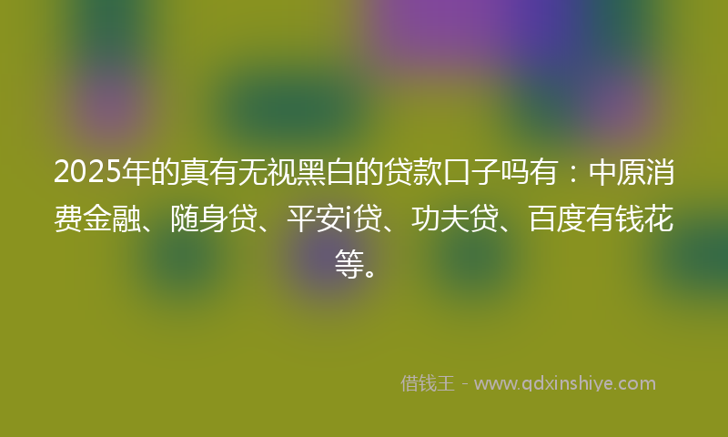 2025年的真有无视黑白的贷款口子吗有：中原消费金融、随身贷、平安i贷、功夫贷、百度有钱花等。