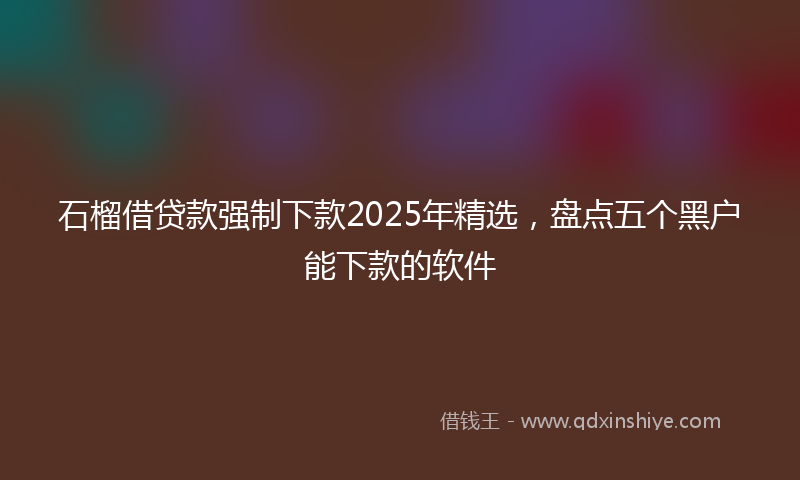 石榴借贷款强制下款2025年精选，盘点五个黑户能下款的软件