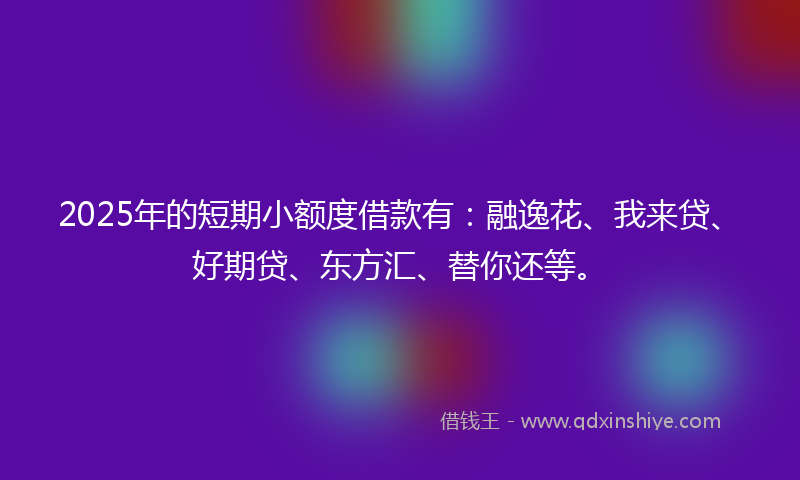 2025年的短期小额度借款有：融逸花、我来贷、好期贷、东方汇、替你还等。