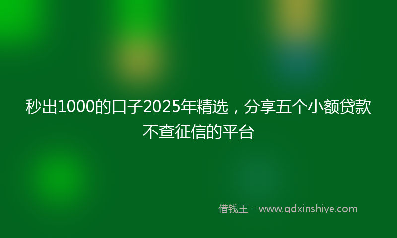 秒出1000的口子2025年精选，分享五个小额贷款不查征信的平台