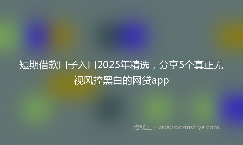 短期借款口子入口2025年精选，分享5个真正无视风控黑白的网贷app