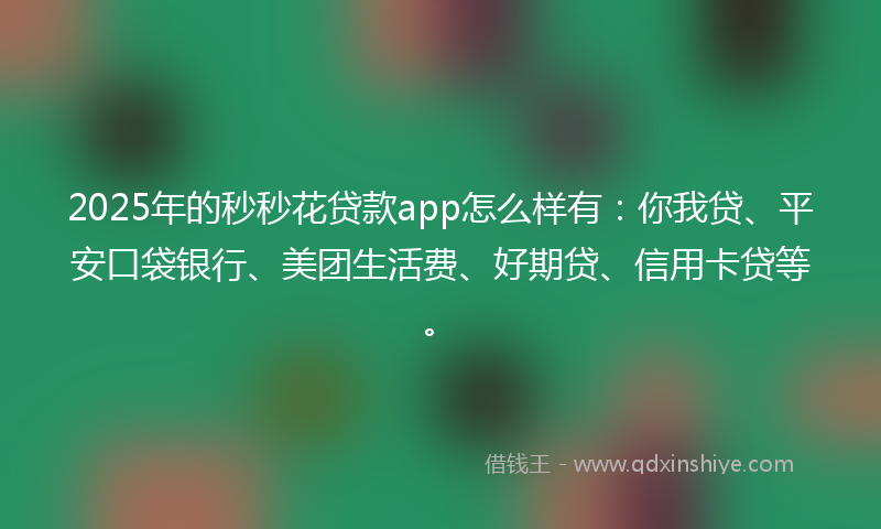 2025年的秒秒花贷款app怎么样有：你我贷、平安口袋银行、美团生活费、好期贷、信用卡贷等。