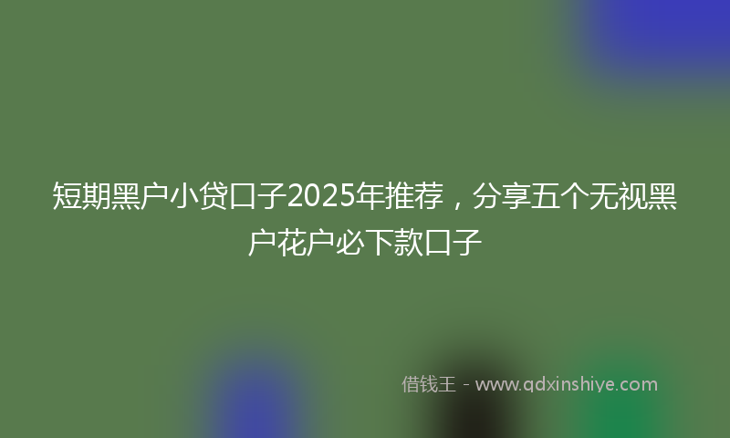 短期黑户小贷口子2025年推荐，分享五个无视黑户花户必下款口子