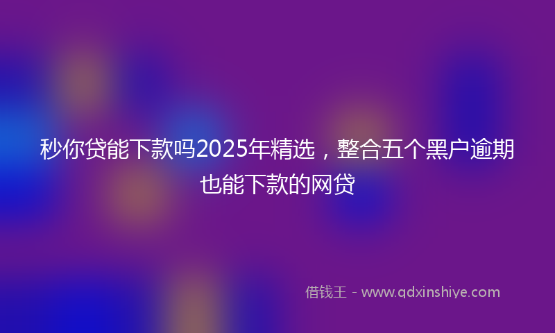 秒你贷能下款吗2025年精选，整合五个黑户逾期也能下款的网贷