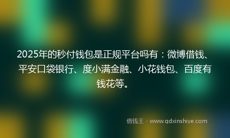 2025年的秒付钱包是正规平台吗有：微博借钱、平安口袋银行、度小满金融、小花钱包、百度有钱花等。