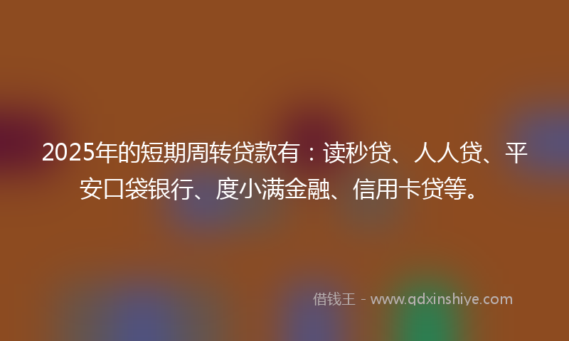 2025年的短期周转贷款有：读秒贷、人人贷、平安口袋银行、度小满金融、信用卡贷等。