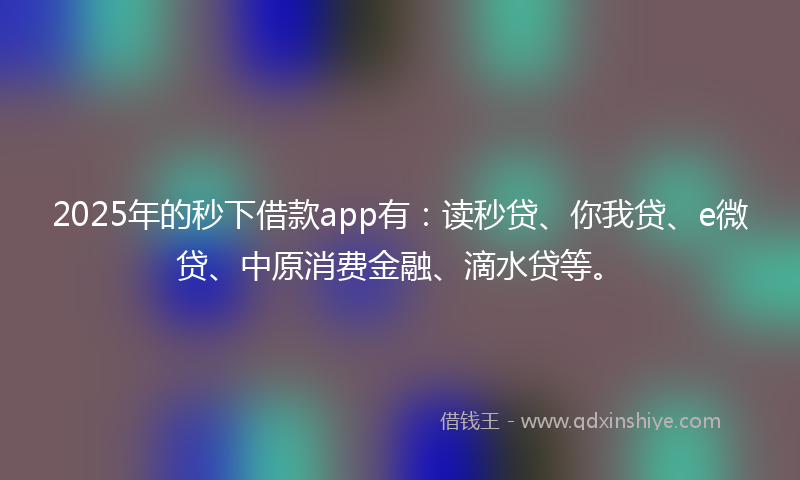 2025年的秒下借款app有：读秒贷、你我贷、e微贷、中原消费金融、滴水贷等。